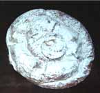 �G���T�C�}�[�_